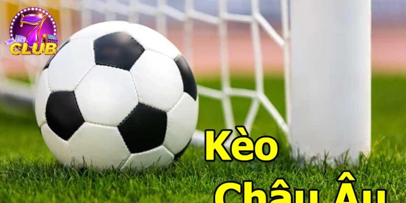 Trải nghiệm người dùng đặt cược châu Âu trên thiết bị di động